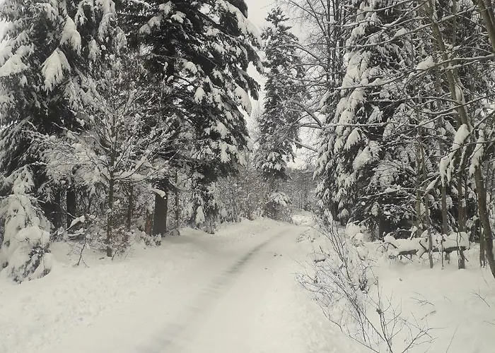 بيت للعطل Z Widokiem